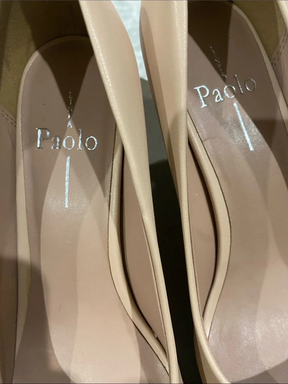 Paolo Linea Nude Pink Pointed Toe Pumps